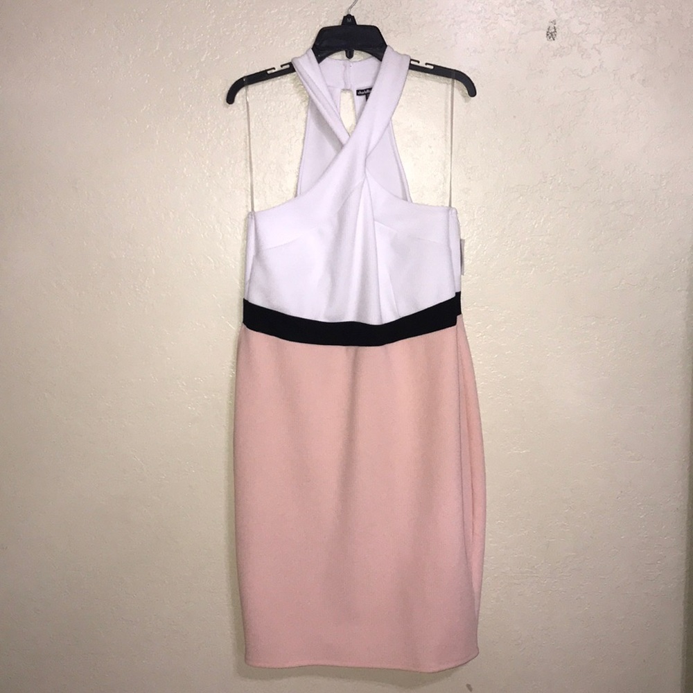 NWT Charlotte Russe Plus pink and white dress